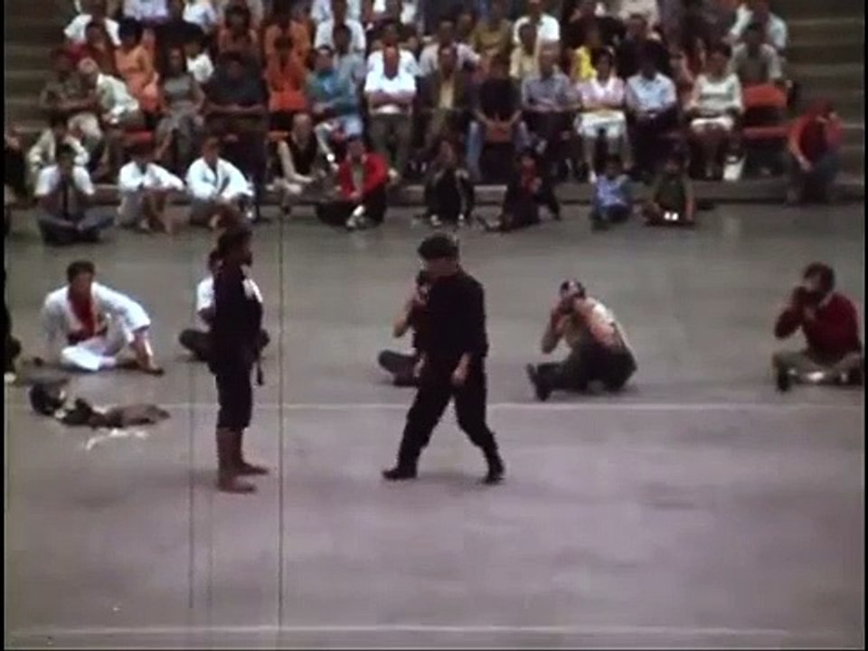 BRUCE LEE