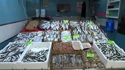 Sardalyanın fiyatı bir haftada yarıya düştü