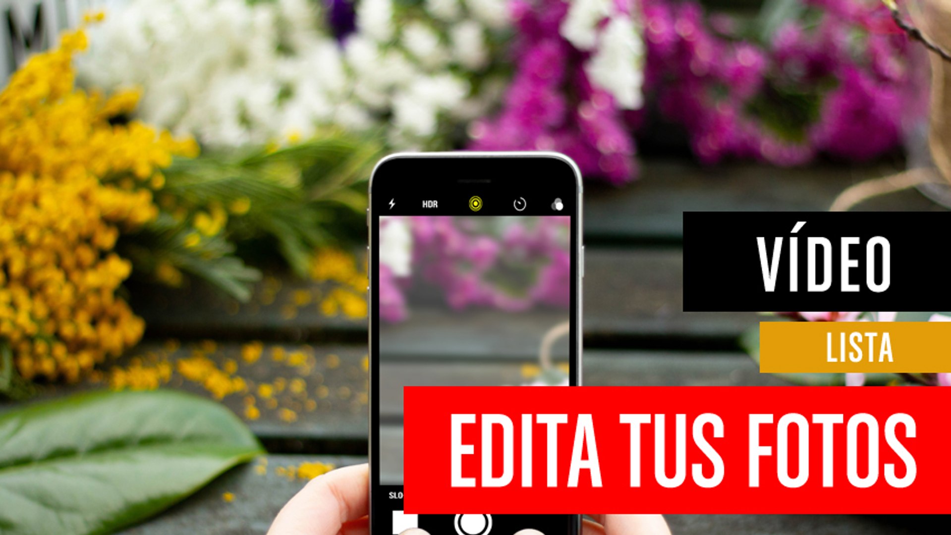 ⁣Cuatro aplicaciones para editar las fotos en el móvil