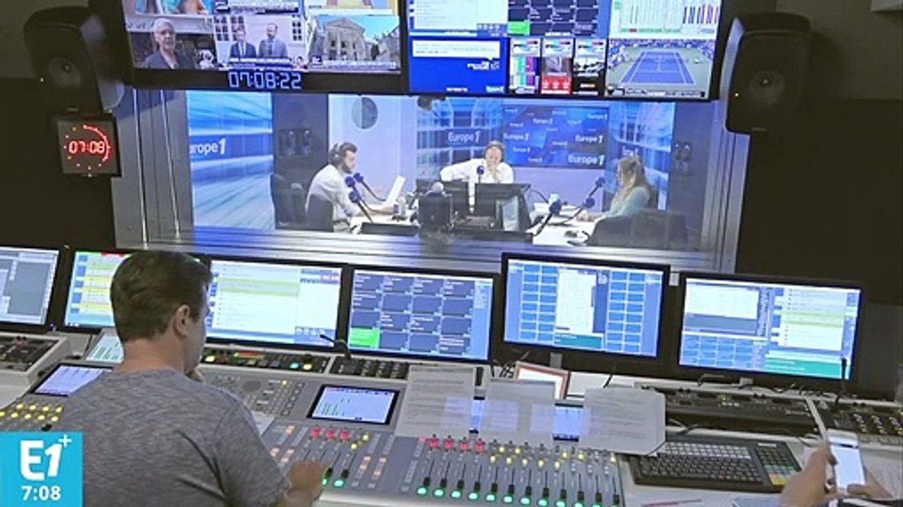 Quatorze serpents "parmi les plus venimeux au monde" retrouvés dans un appartement à Antibes : "Il y en avait à peu près partout !"