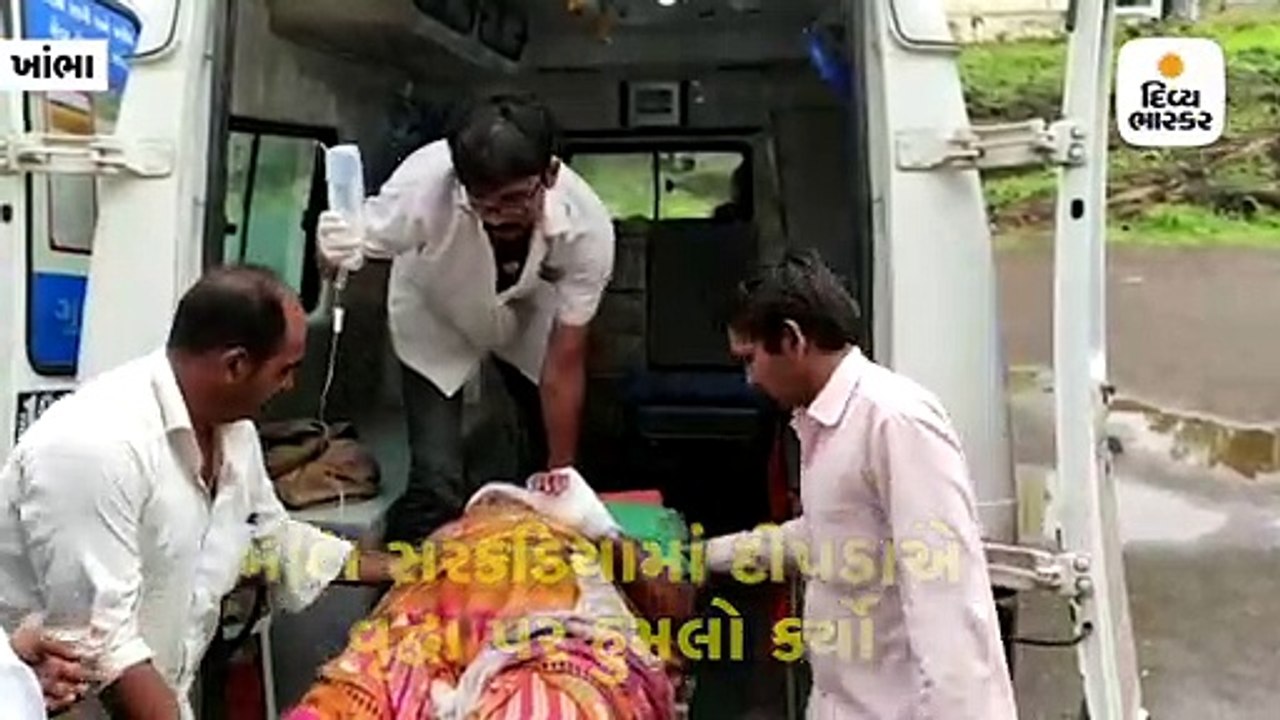 મોટા સરકડીયામાં લઘુશંકા કરવા બહાર નીકળેલા વૃદ્ધા પર 7 ફૂટની દીવાલ કૂદી દીપડાએ હુમલો કર્યો