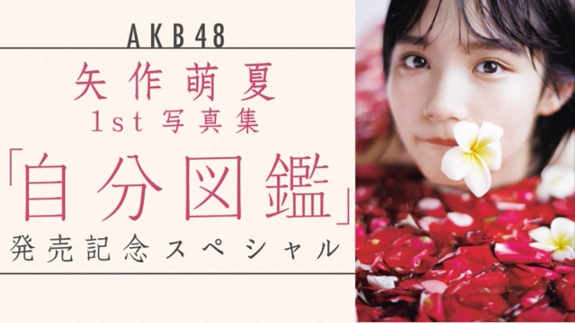 Akb48矢作萌夏1st写真集 自分図鑑 発売記念スペシャル Showroom ショールーム 19 08 01 18 00 動画 Dailymotion