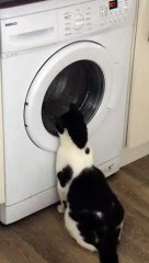 Weird Water Won't Quench Thirst