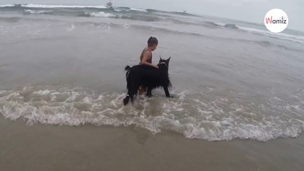 Un chien géant bondit sur une fillette qui joue dans l’eau et….
