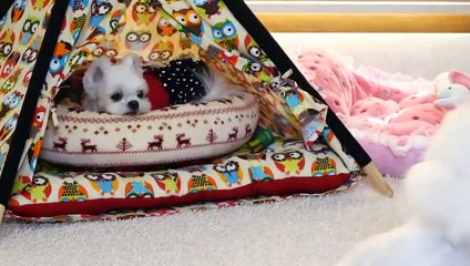 월곶만남강추∮월곶출장안마 -후불100%ョOiOc7362c3210｛카톡BB5858｝ 월곶전지역출장안마 월곶오피걸 월곶출장마사지 월곶안마 월곶출장마사지 월곶콜걸샵≿