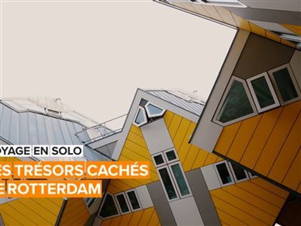 Voyage en solo: les trésors cachés de Rotterdam