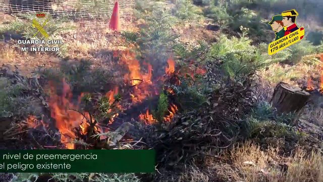 Campaña del SEPRONA de la Guardia Civil contra los incendios forestales