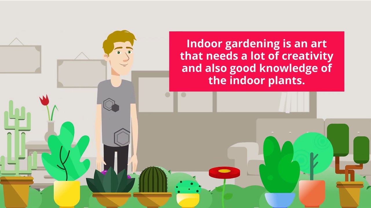 Indoor Gardening Services in Dublin & Belfast - Call 0818 919 362