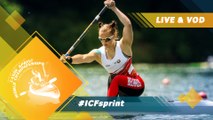 2019 ICF Canoe Sprint Junior & U23 World Championships Pitesti Romania / Day 1: Heats PM