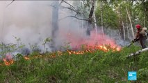 Feux de forêt en Sibérie : l'armée mobilisée pour aider les pompier