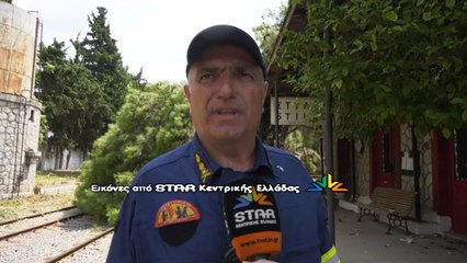 Τεράστιο πεύκο ξεριζώθηκε και έπεσε επάνω στο κτήριο του ΟΣΕ στη Στυλίδα