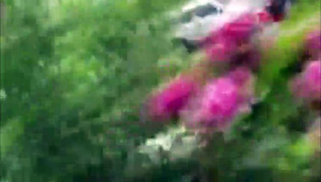 Sokak ortasında korkunç cinayet: Kılıç ile öldürdü