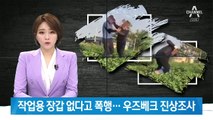 외국인 노동자 폭행한 한국인…진상조사 나선 우즈베크