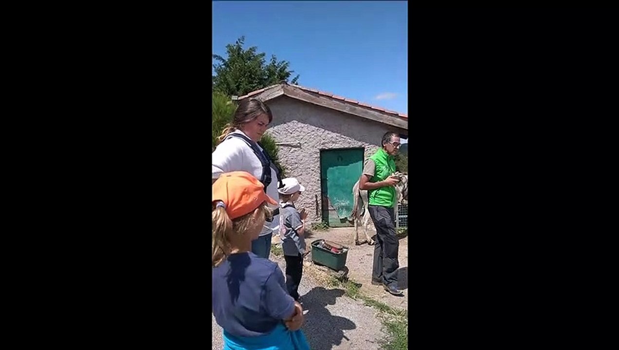 Balade avec les ânes à Tarentaize