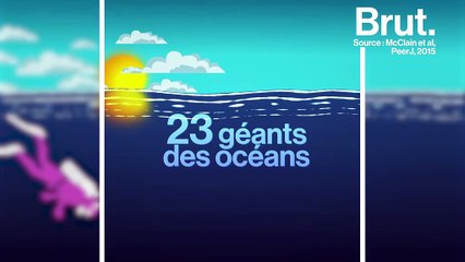 Pourquoi nous sentons-nous particulièrement petit dans l'océan ?