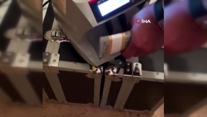 Düşük kurlu dolar vaadiyle dolandırıcılık şebekesi çökertildi