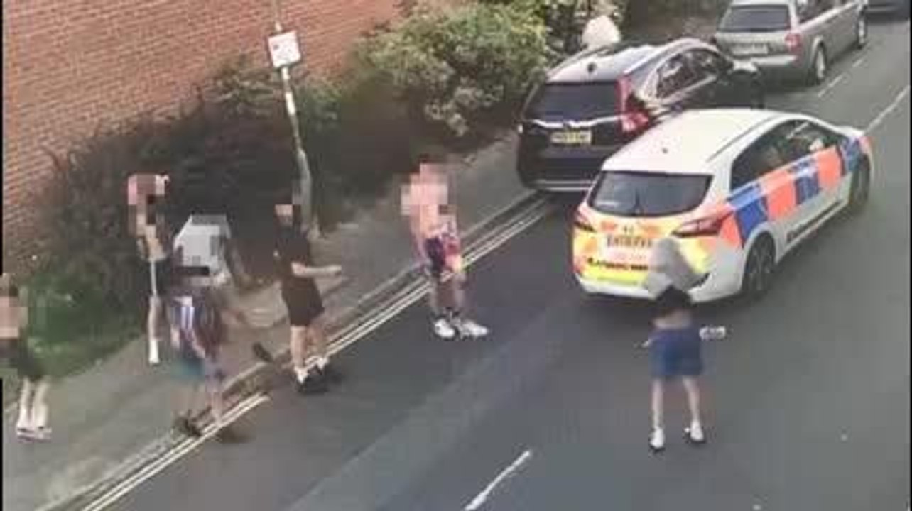 Yobs attack council enforcement staff near Gosport beauty spot