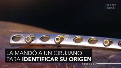 Un criador vio lo que un cocodrilo gigante se tragó y llamó de inmediato a la Policía