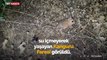 Bitlis'te görülen kanguru faresi şaşkınlık yarattı