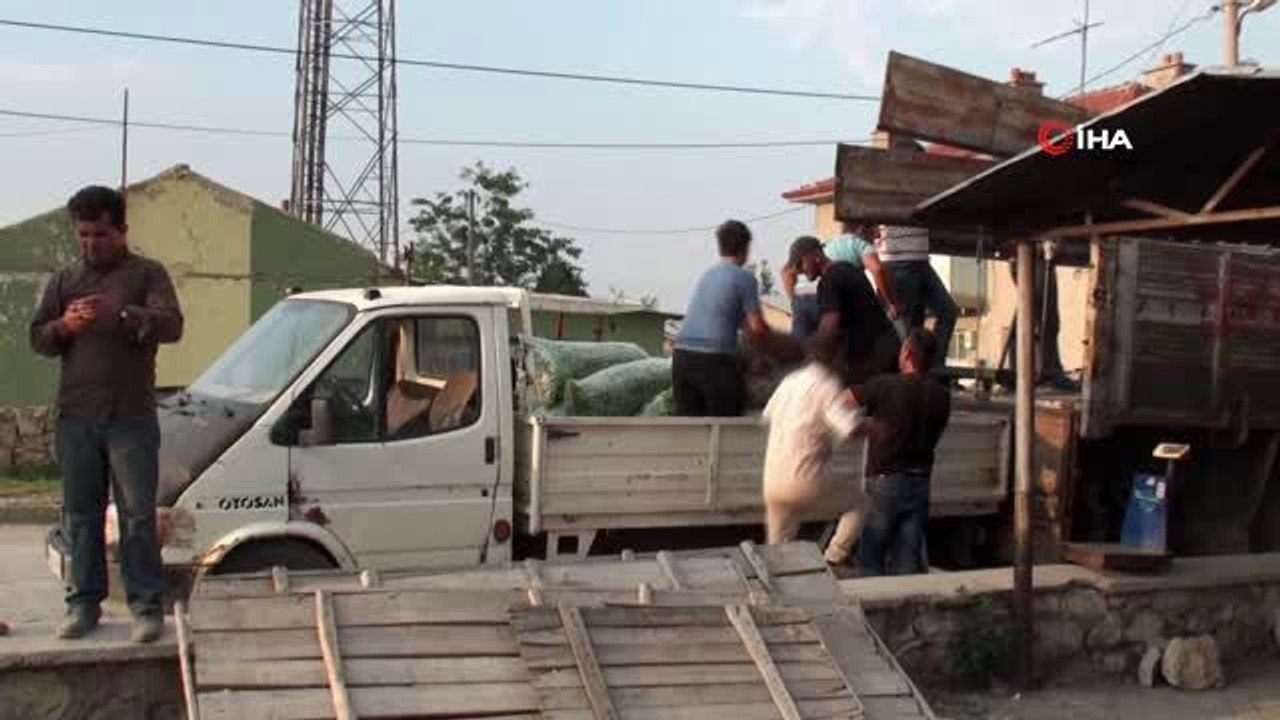 Fasulye fiyatlarında düşüş başladı