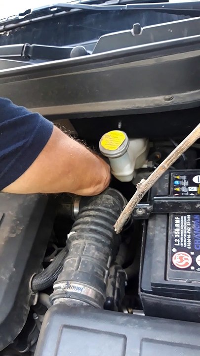 Kitty Rescued from Car Engine Bay