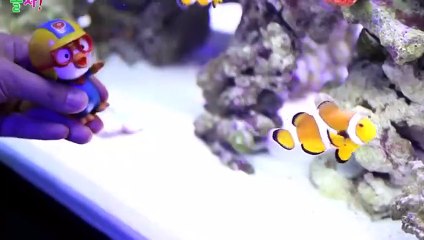 관악외국인출장샵◁관악출장안마 -후불100%ョOiOZ7362Z3210｛카톡VR91｝ 관악전지역출장안마 관악오피걸 관악출장마사지 관악안마 관악출장마사지 관악콜걸샵▼▼