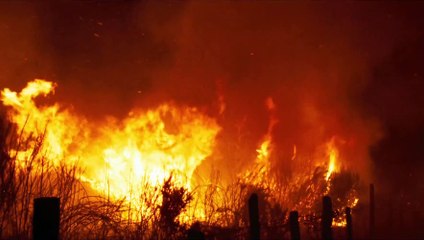 Bande annonce Viendra le feu - Sortie le 4/09/2019