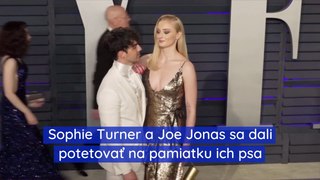 Sophie Turner a Joe Jonas sa dali potetovať na pamiatku ich psa