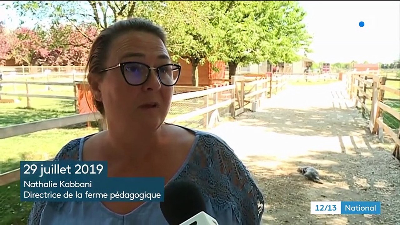 Aube : quatre adolescents massacrent les animaux d'une ferme pédagogique