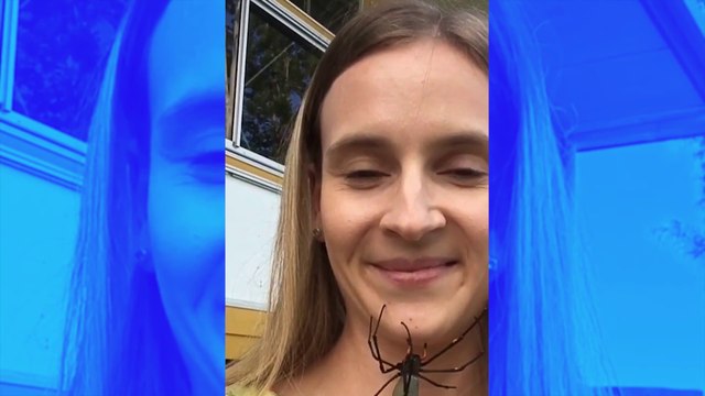 Arachnophobes s’abstenir ! : la vidéo de cette jeune femme avec une araignée donne des frissons