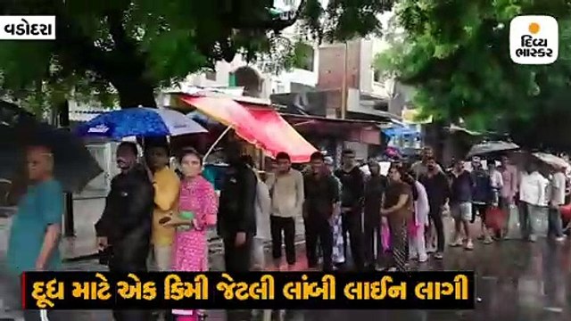 વડોદરાવાસીઓને 24 કલાક પછી ચા મળી, દૂધ માટે એક કિલોમીટર સુધી લાઈનો લાગી