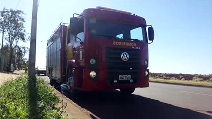 Captura de cachorro mobiliza bombeiros ao Floresta