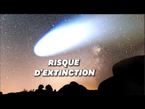 À l'origine des nuits des étoiles , une comète qui menace toute vie sur Terre