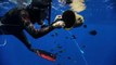 A nado pelo Pacífico contra a poluição do plástico nos oceanos