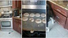 Cão incrimina-se antes de arranjar qualquer desculpa para o desaparecimento dos biscoitos