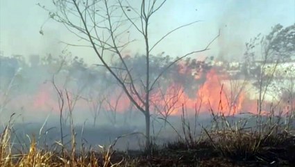 Incêndio é registrado às margens da BR-277