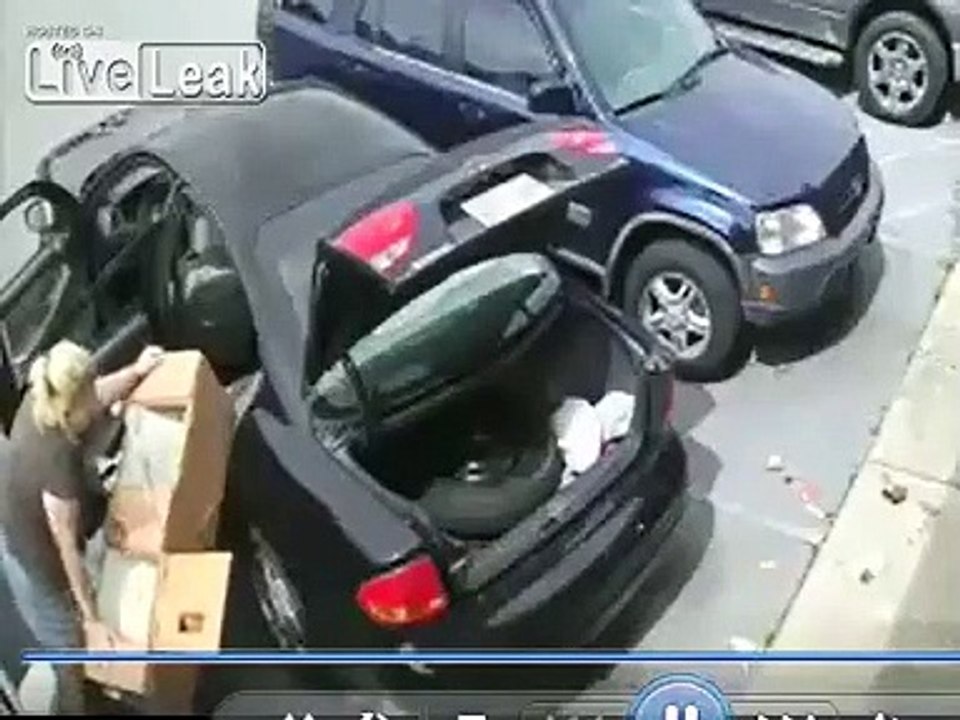 Elle tente de voler une maison de poupée à 1000€... mais ça ne rentre pas dans la voiture !