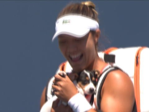 San José - Ahn et Mertens entrent sur le court avec des chiots