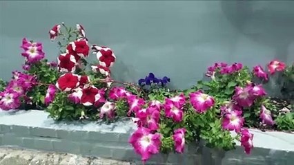 Agosto é mês de oração na Praça da Bíblia de Cascavel