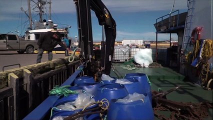 'Iceberg Corridor' sparks economic boom on Canada's east coast