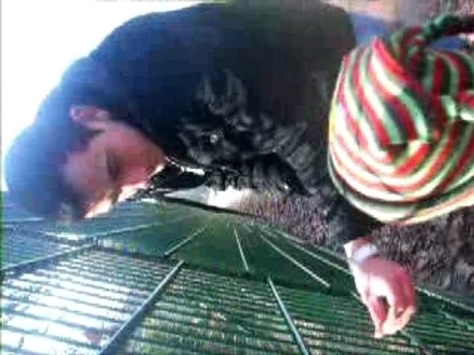 Théo au parc