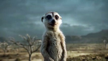 The Lion King - Be Our Guest