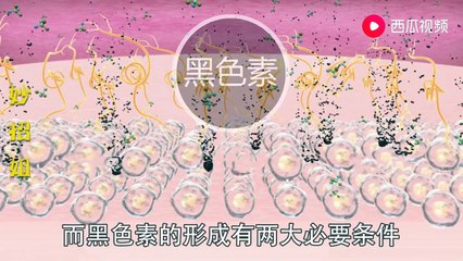 【Rumors about soy sauce】吃酱油到底会不会留疤？皮肤会不会变黑，这个视频告诉你正确答案