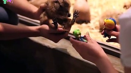 유성지구출장ㅁㅏㅅㅏㅈㅣ≑유성지구출장안마 -후불100%ョO7OW7301W9649｛카톡LA25｝ 유성지구전지역출장안마 유성지구오피걸 유성지구출장마사지 유성지구안마 유성지구출장마사지 유성지구콜걸샵후기⾸⾸⾸