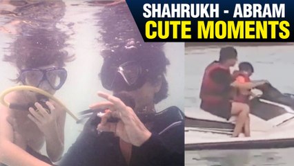 Shahrukh Khan & AbRam Khan CUTE Moments From Maldives Trip | VIDEO