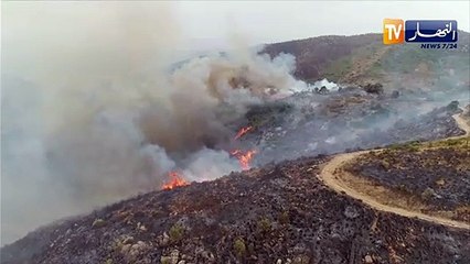البويرة: غابات القادرية تتحول إلى رماد بسبب الحرائق