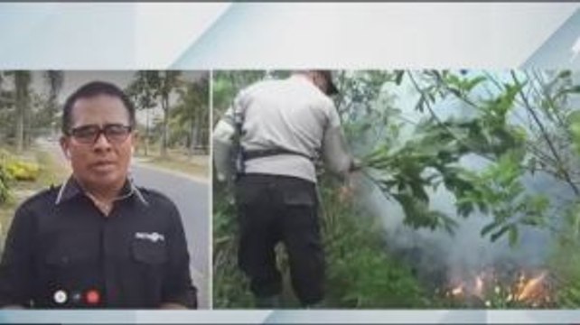 Seribuan Hektare Lahan di Kalteng Terbakar Sepanjang Juli