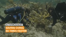 Activism August: Two friends are changing the game for coral reefs