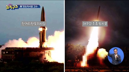 방사포 vs 탄도…北 발사체 ‘실체 논란’