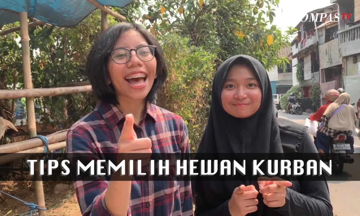 Ingin Berkurban Cek Dulu Tips Memilih Hewan  Kurban 